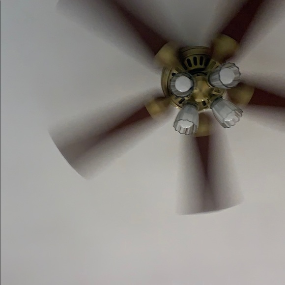 Meet your Posher, Suzanne - Picture 1 of 1